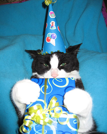 birthday-cat5