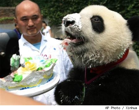 panda2-birthday